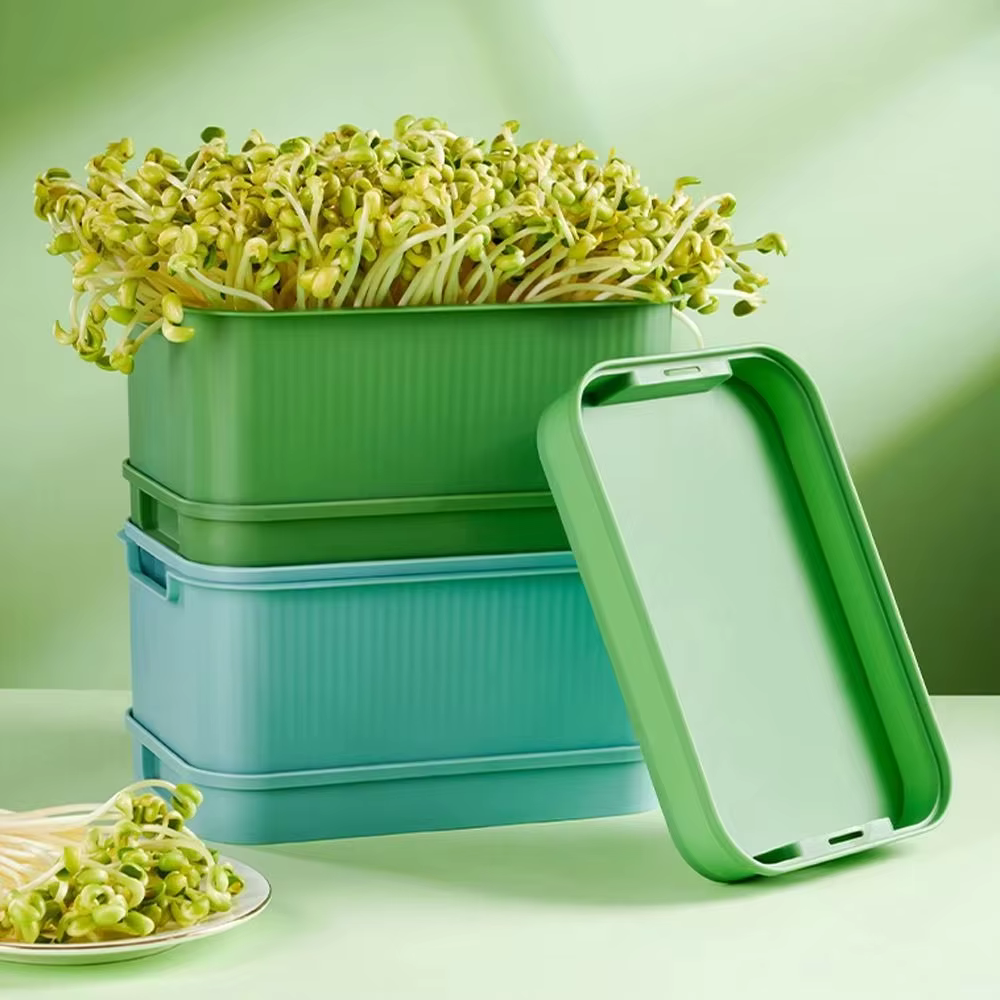 Plateau de germination de graines