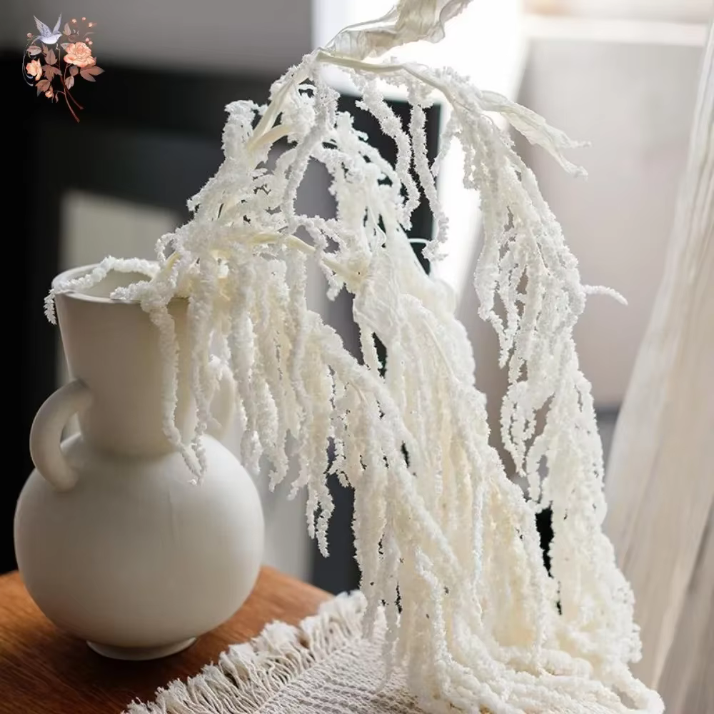 Amaranthus suspendu de fleurs séchées naturelles