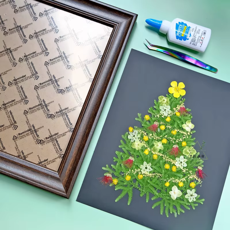 8 pièces, sans décoloration velours pressé vraies fleurs conservées étoile Bethlehem pour résine bijoux visage maquillage noël Scrapbooking Kit de bricolage