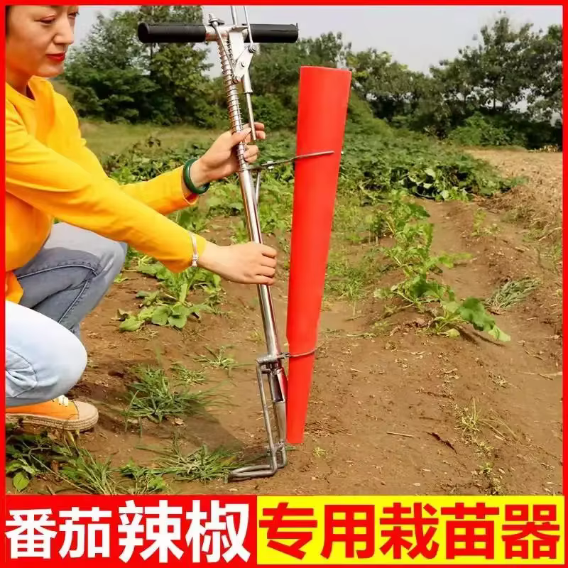 Outil de plantation de semis