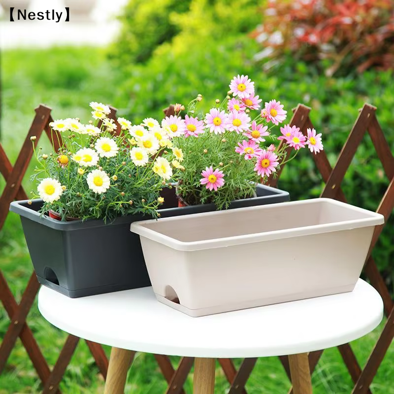 Pot de fleurs auto-absorbant pour culture de légumes d'intérieur avec trou de drainage et corde absorbante