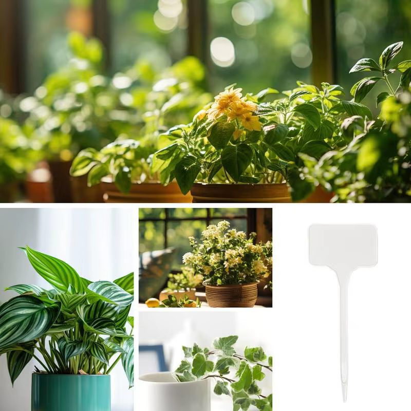 Étiquettes pour plantes de jardin