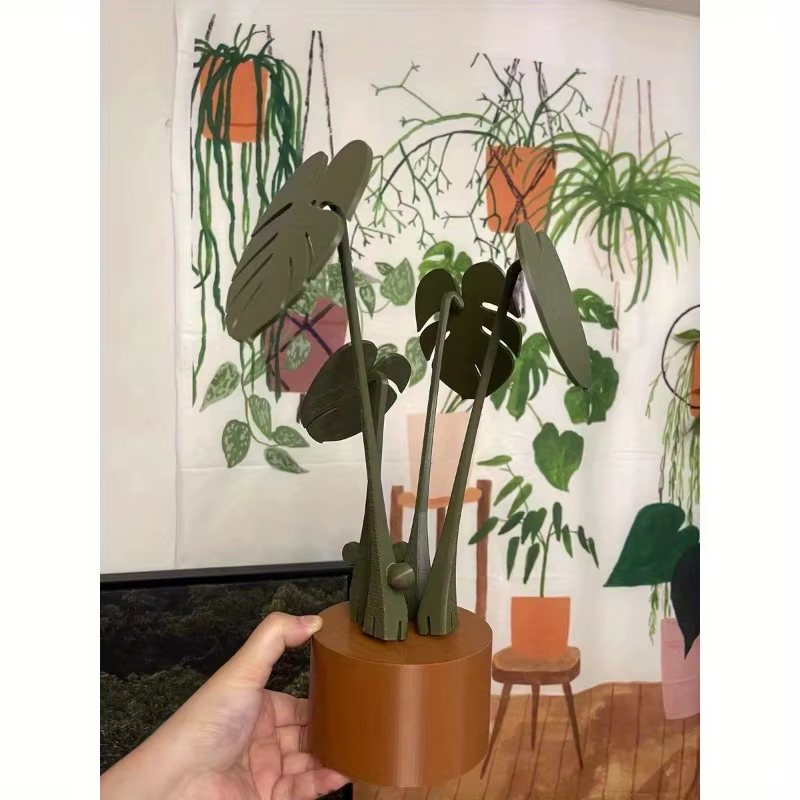 Monstera dessous de verre plante tortue bambou