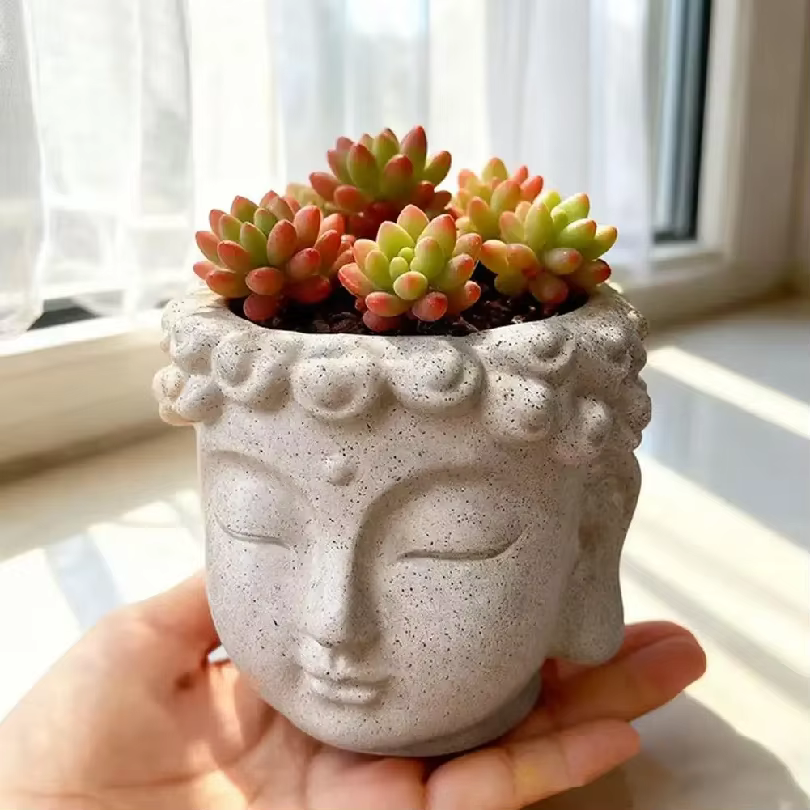 Pot à succulentes Bouddha Zen