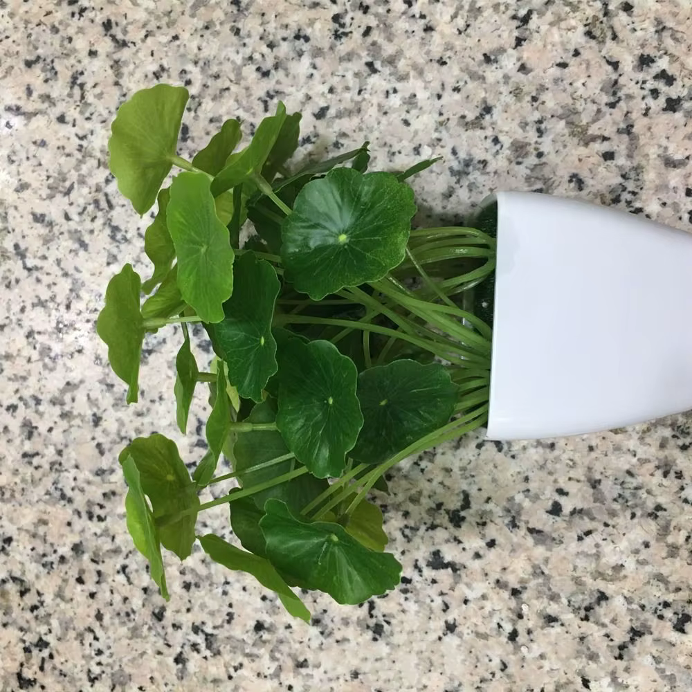 Plante verte 9 têtes, feuille de Lotus artificielle en plastique