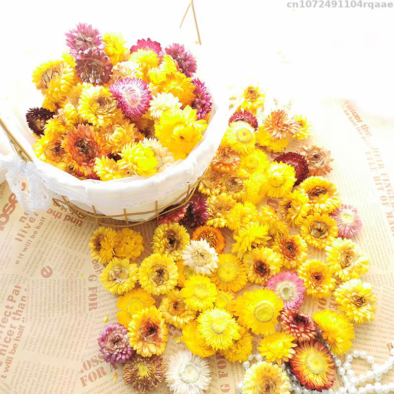 Qualité tournesol marguerite fleur séchée bricolage Epoxy résine moule maison décoration murale paille sèche