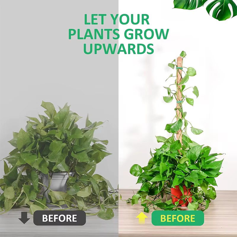 Échafaudage de plantes déformable