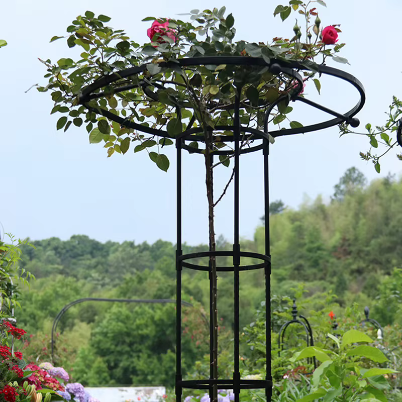 Treillis de Jardin pour Plantes Grimpantes