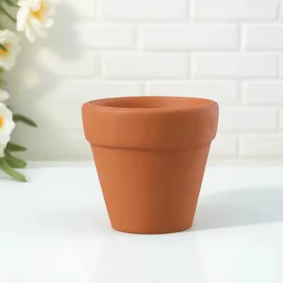 12 pots de plantes en terre cuite