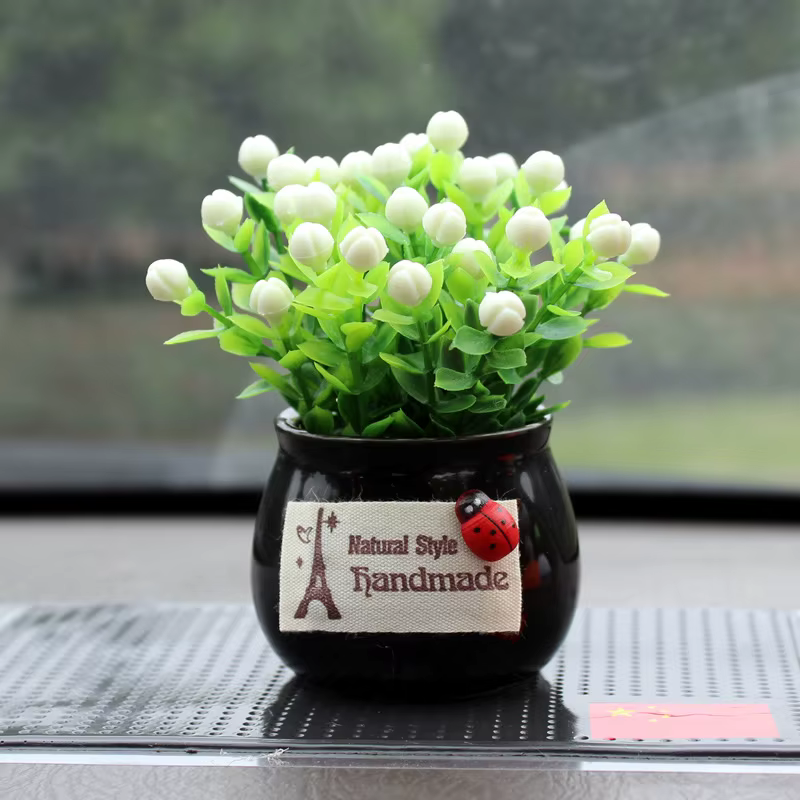 Plante porte-bonheur en pot