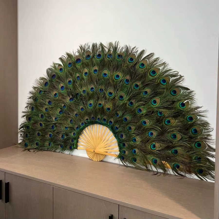 Plumes de paon naturelles 25-30cm