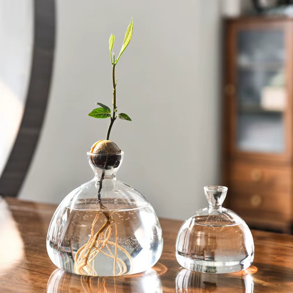 Kit de plantes en verre avec autocollants pour les amateurs de jardinage