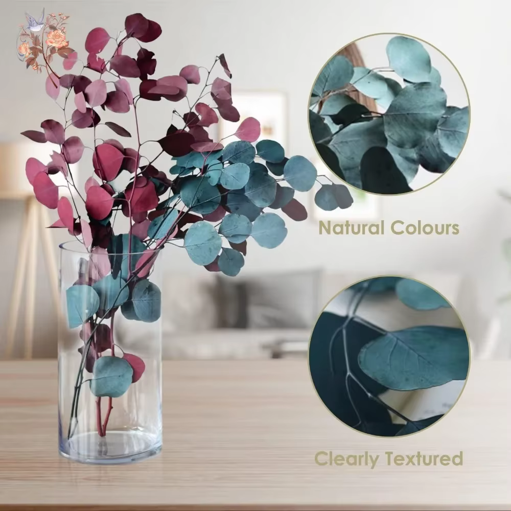 Bouquet de feuilles d'eucalyptus conservées