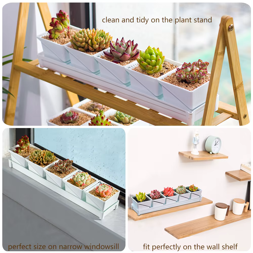 Pots à succulentes respirants avec élagage à l'air