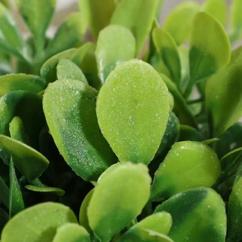 Plante en Pot, petites fausses plantes