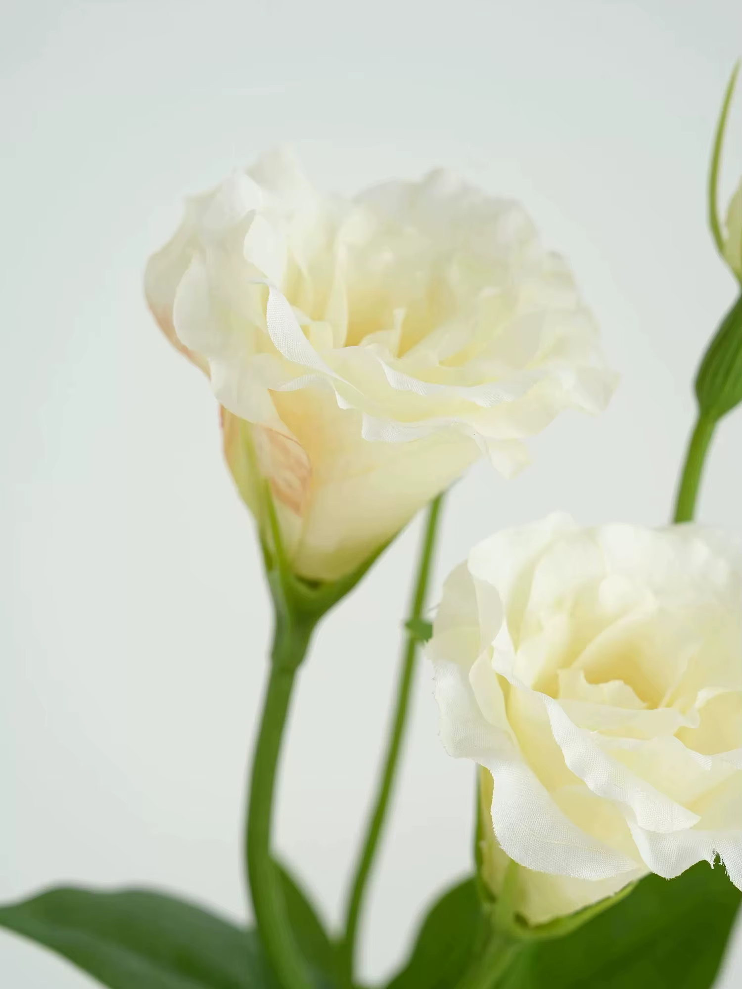Fleurs artificielles de lisianthus blanches