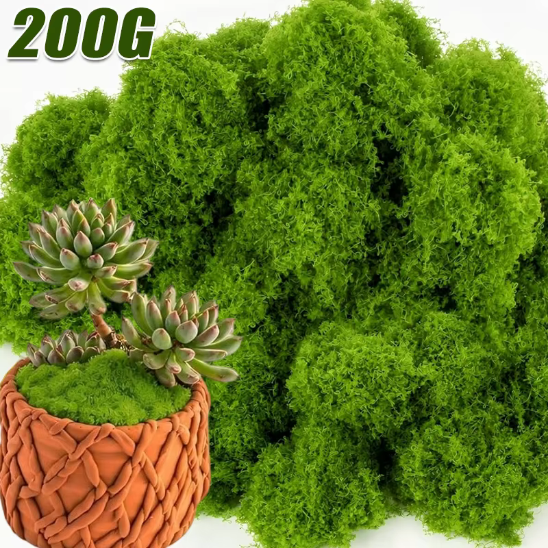 Plantes artificielles en pot de mousse verte