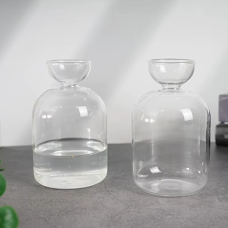 Vase hydroponique transparent en verre pour semis d'avocat