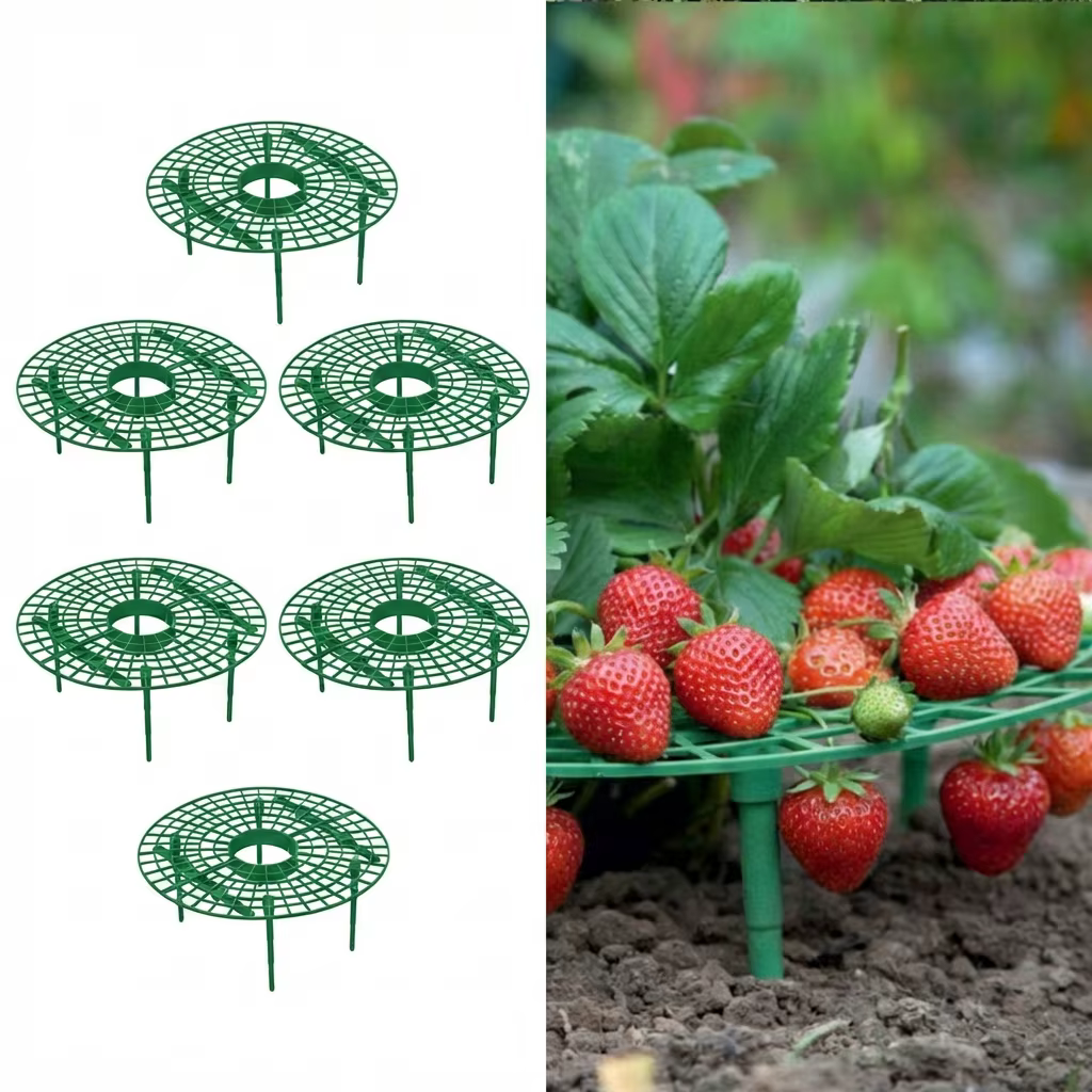 Supports pour plantes de fraises