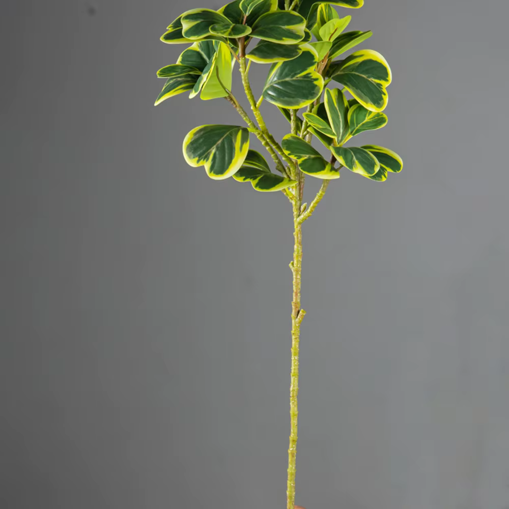 Arbre artificiel Ficus de 76 cm/115 cm