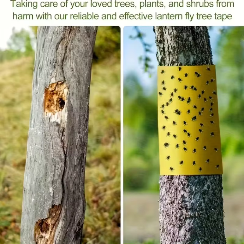 Ruban adhésif Double face jaune anti-insectes