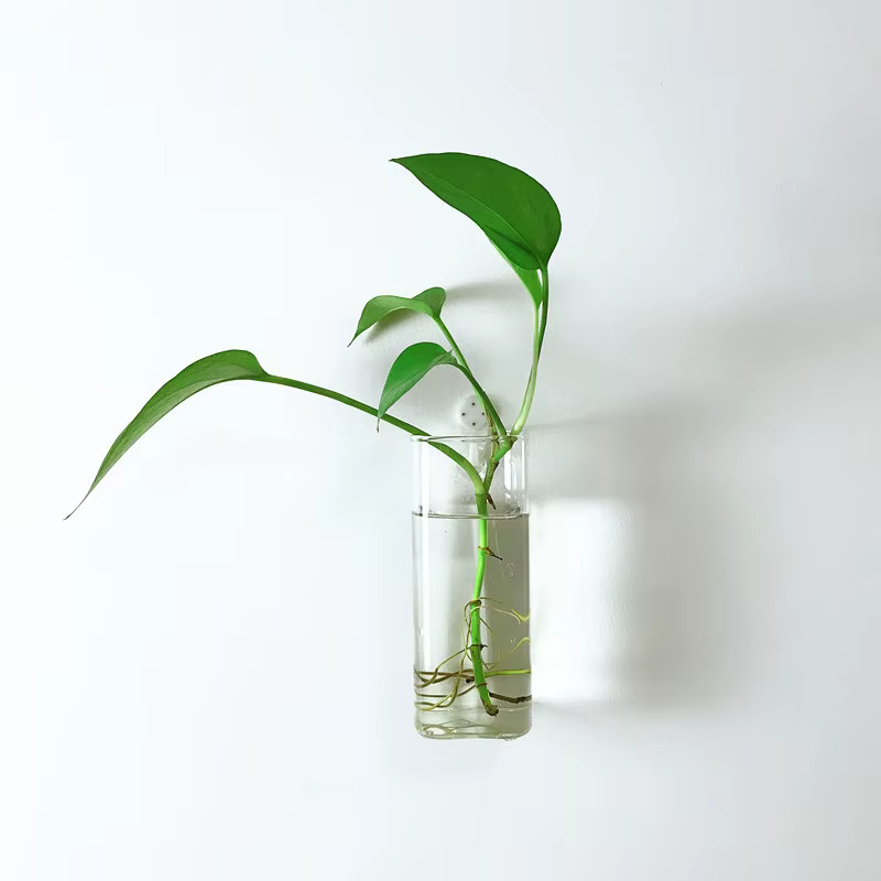 Vase à fleurs mural en verre minimaliste moderne