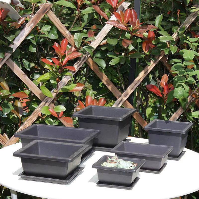 Plateau rectangulaire en plastique pour pots de bonsaï