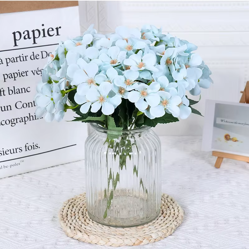 Bégonia fleur fleur sèche gaufrage plante spécimen fleurs séchées gaufrage botanique spécimen bricolage manuel décoration pétale bougies
