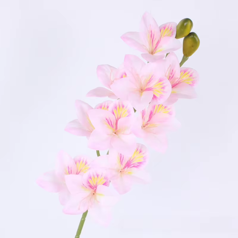 6 pièces de fausses fleurs de Bauhinia en PU