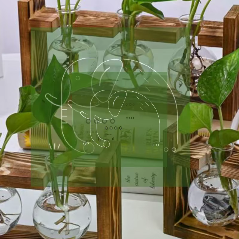 Vase en verre pour plantes