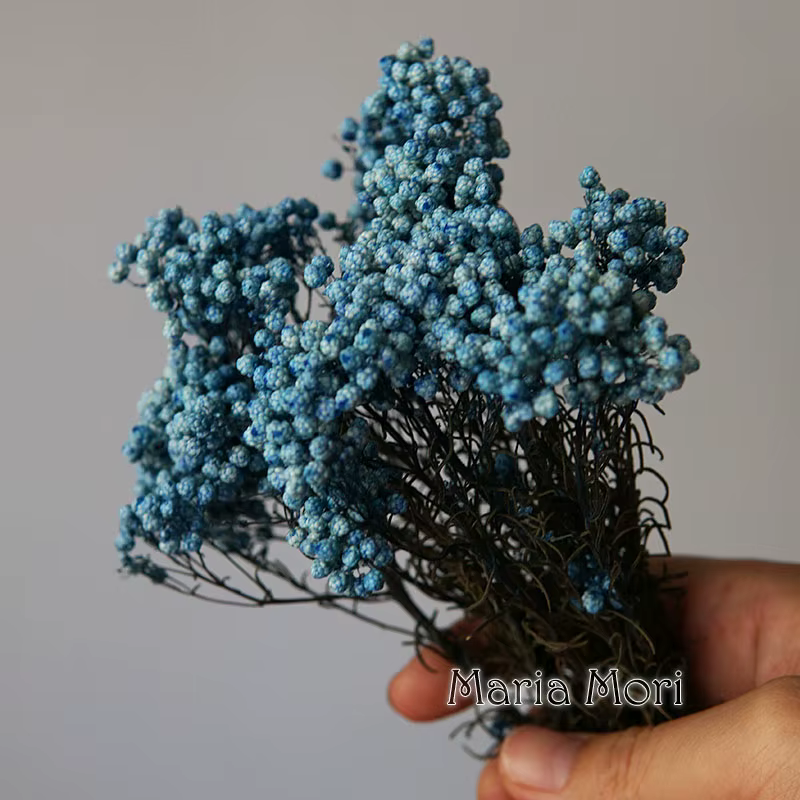 Fleurs de Riz pour Décoration de Maison et Bureau