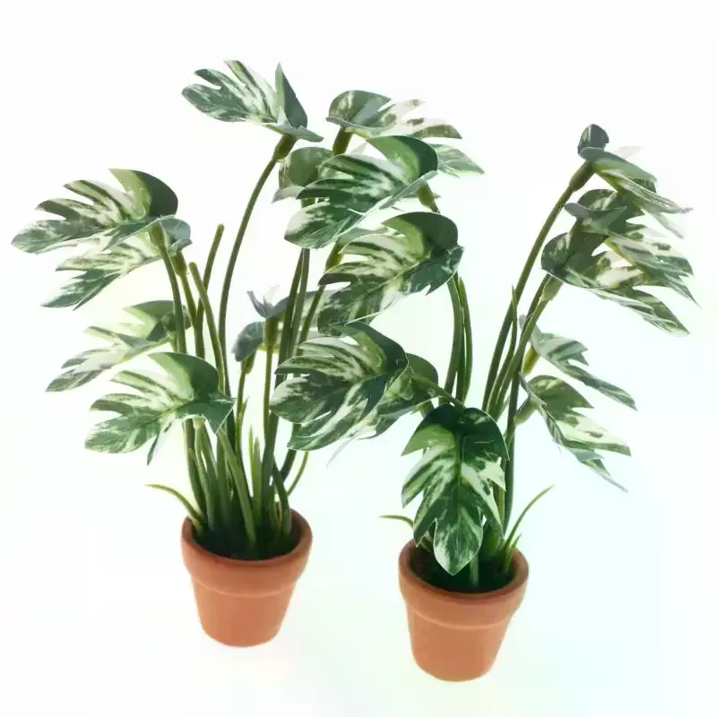 Simulation de maison de poupée Monstera