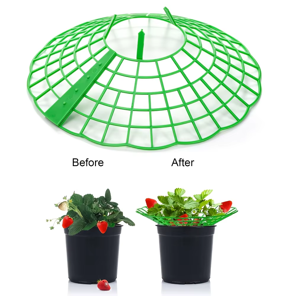 Lot de 12 supports de plantation pour fraises vertes