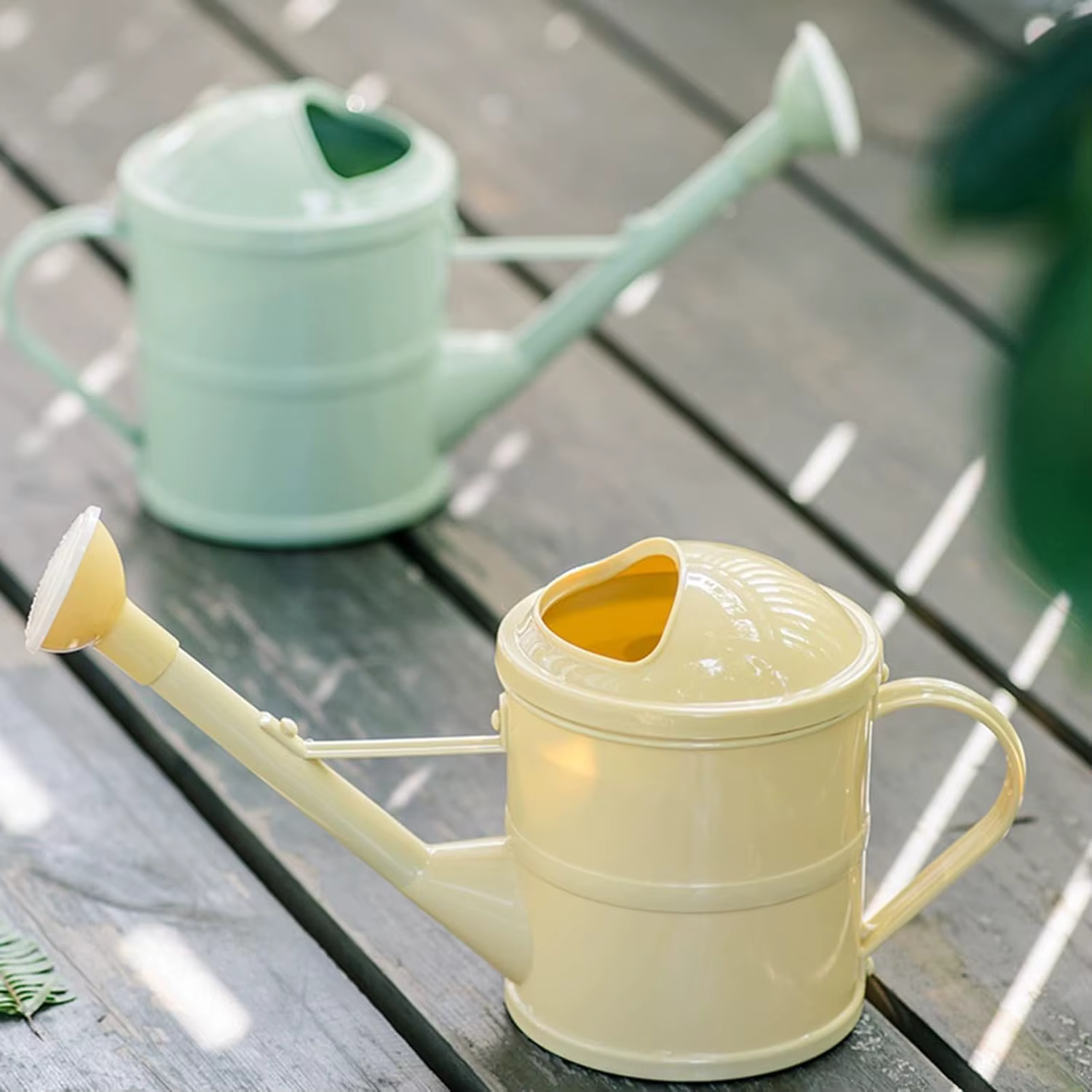Arrosoir pour plantes de 1