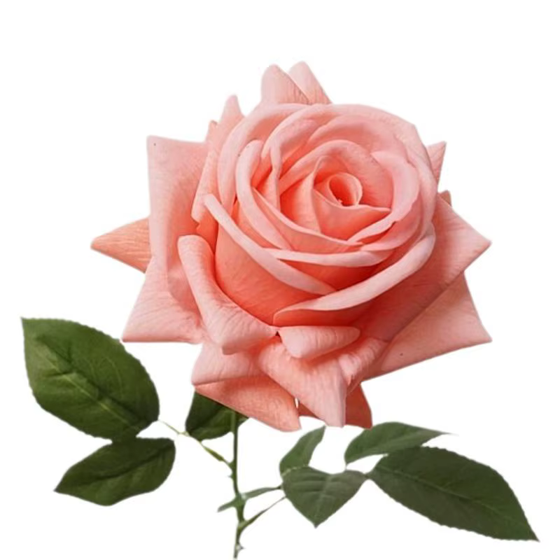 Lot de 5 Roses Artificielles Hydratantes Effet Réel pour Décoration de Mariage