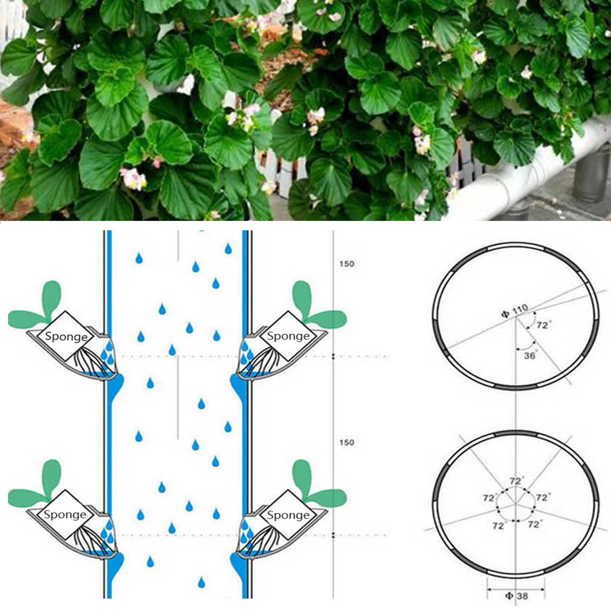 Lita – système de plantation hydroponique pour fruits et légumes