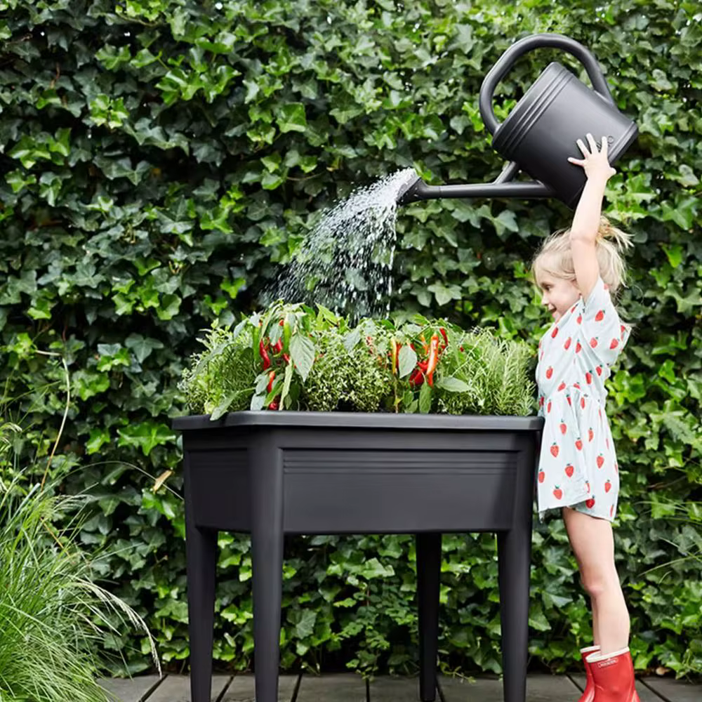 Arrosoir en plastique 1L/2L pour plantes de jardin