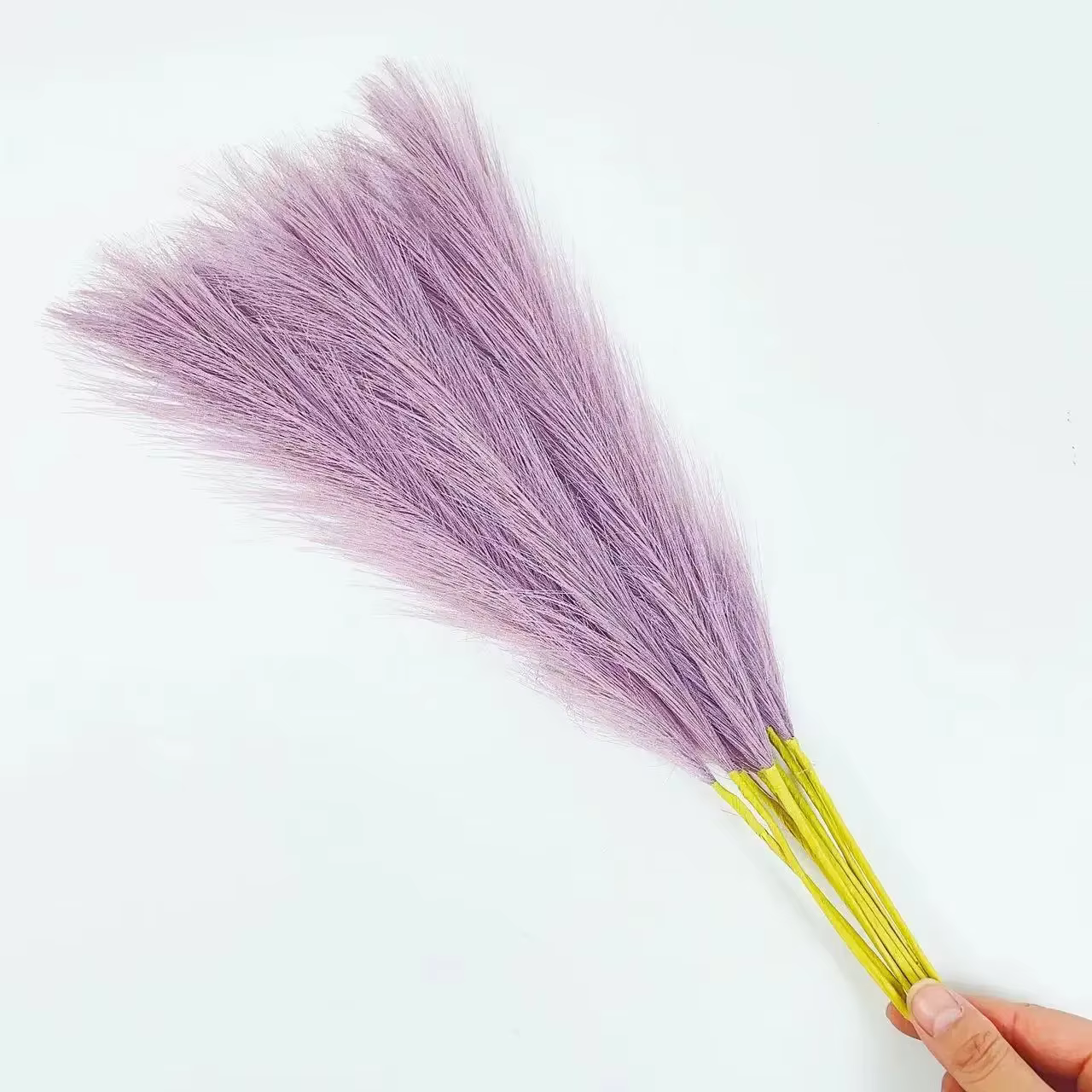Pampa moelleux pour la décoration de la maison