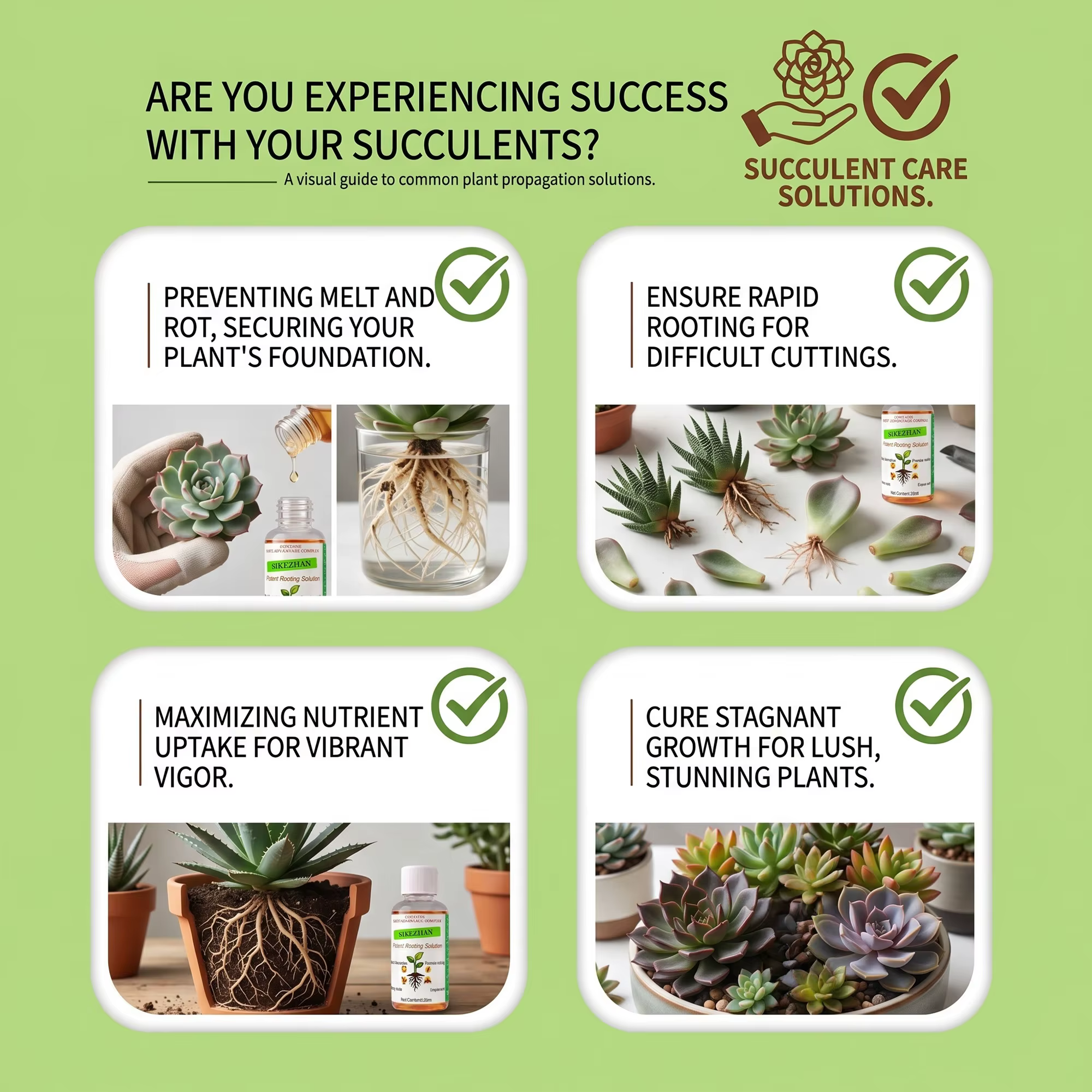 Kit de solution nutritive pour l'enracinement des plantes