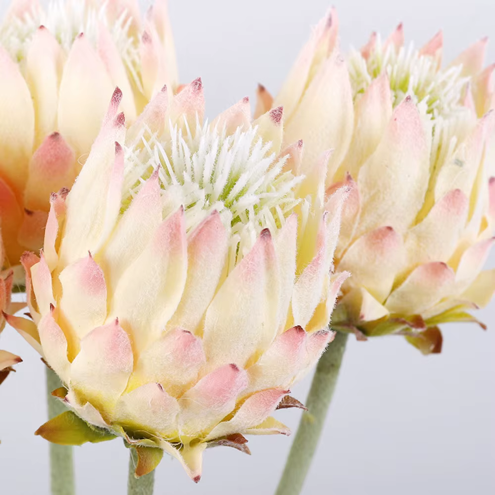 2 pièces de fleurs artificielles en chardon nordique