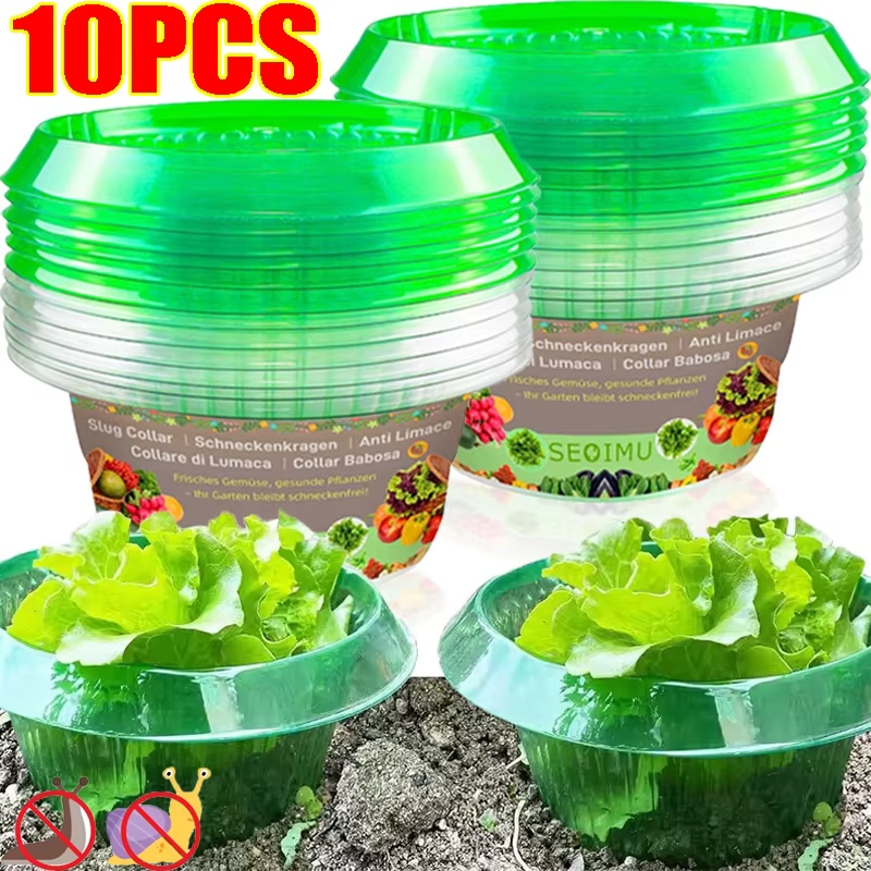 Anneaux de Protection des limaces pour plantes