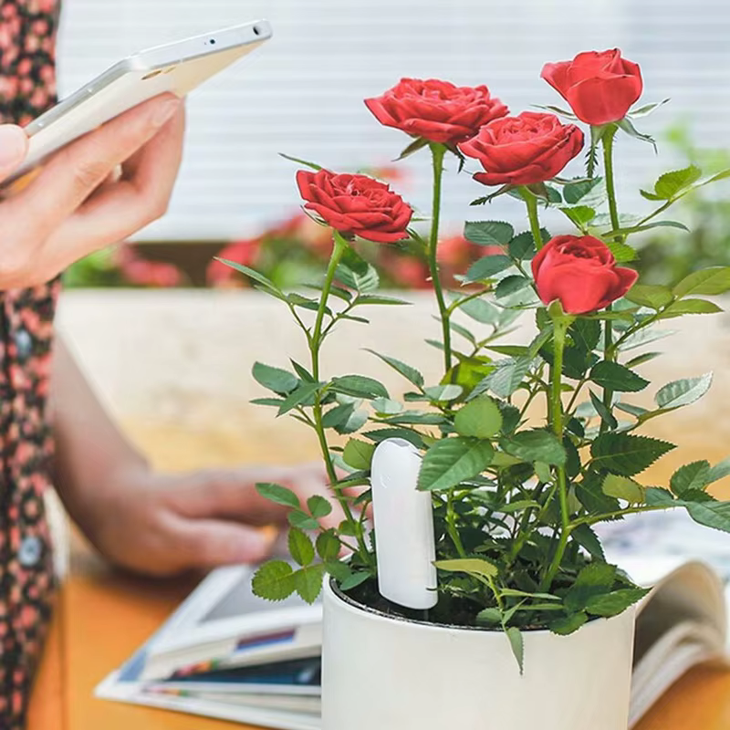 HHCC Xiaomi soins des fleurs moniteur de plantes intelligent produits
