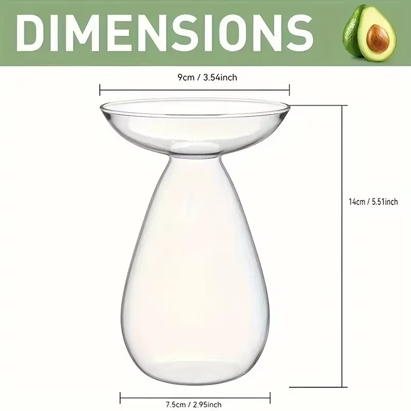 Vase en verre coloré en forme d'avocat - Jardinière hydroponique transparente pour la germination des graines