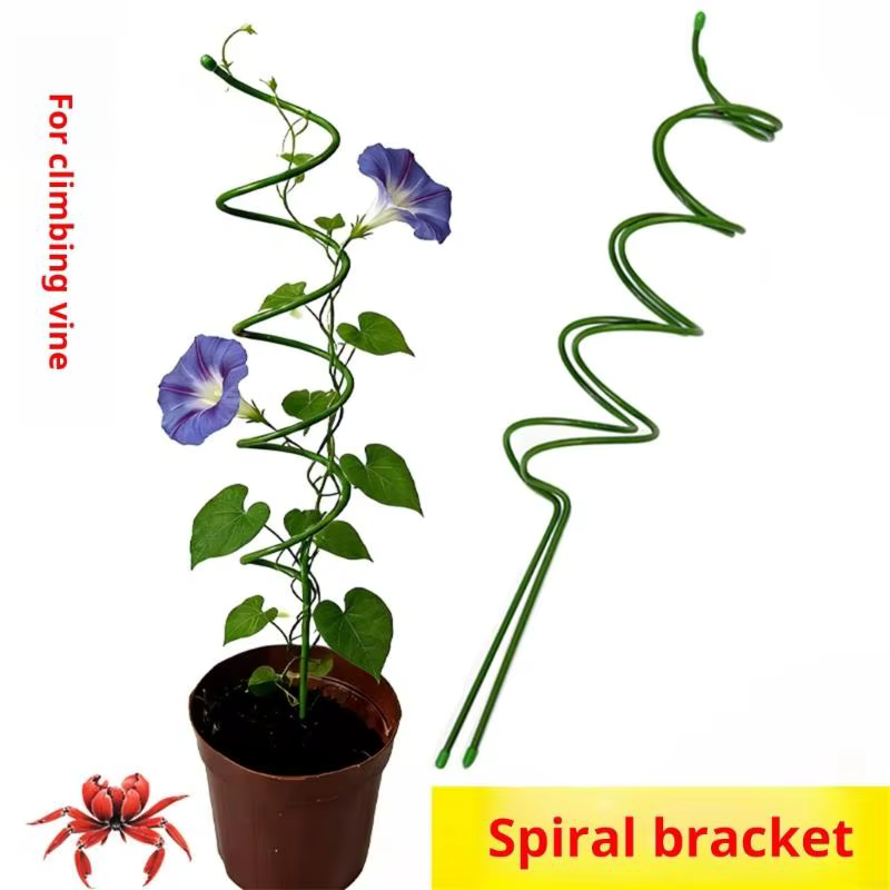 Support réutilisable pour plantes grimpantes