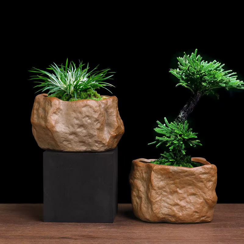 Pot Succulent en céramique résistant à l'usure en forme de pierre Cactus