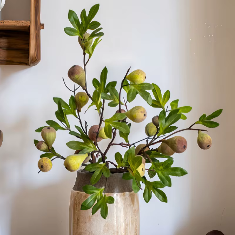 Branche de fausse figue avec fruit