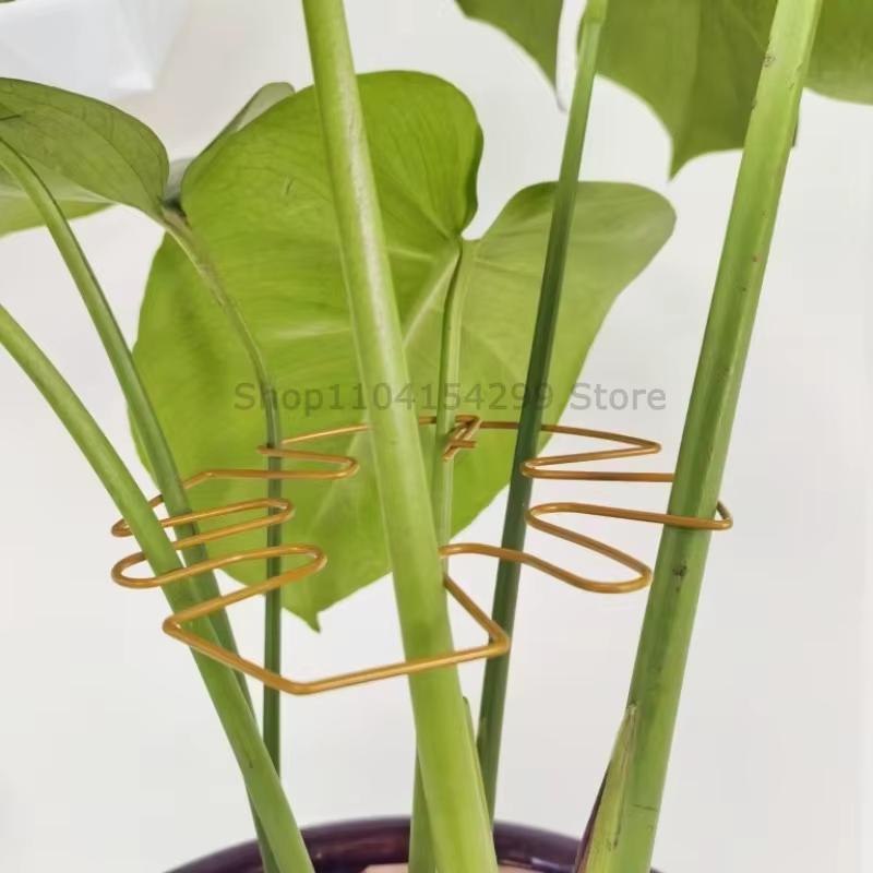 Supports de plantes réglables en métal pour tutorer les plantes