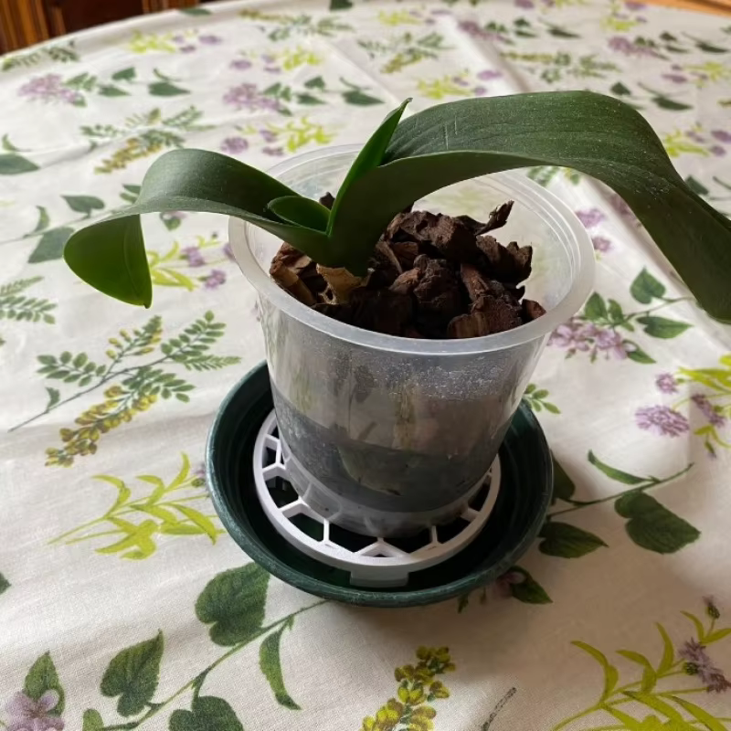 Support de pot de fleurs en nid d'abeille