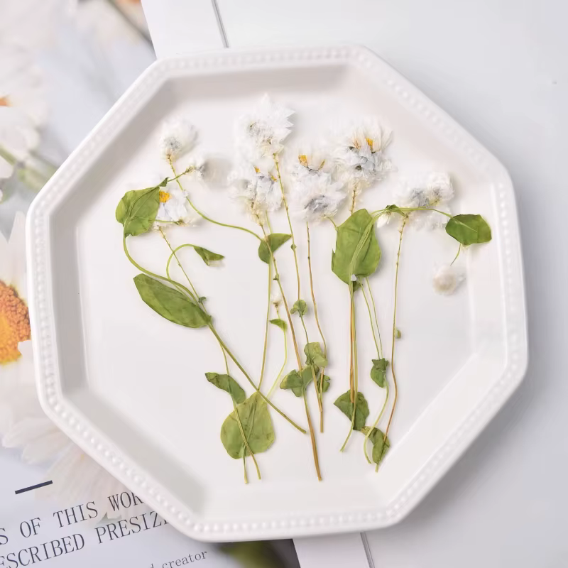 24 pièces, fleur séchée naturelle en relief