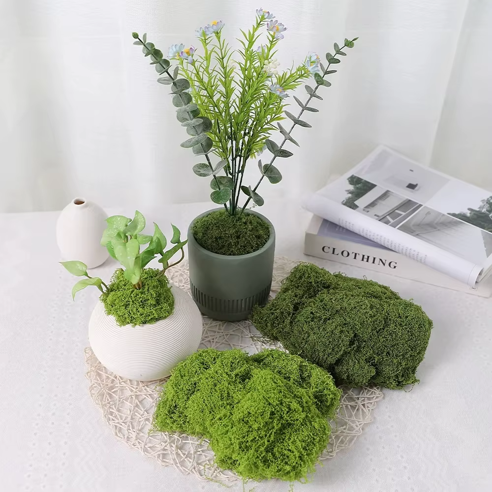 30/50/100g plantes vertes artificielles mousse herbe maison salon jardin décoration Mini paysage fausse fleur bricolage artisanat